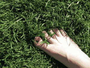 What is a bunion? 2 What is a bunion?