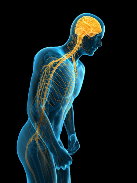 What does an orthopaedic spine surgeon do? 2 Orthopedic spine surgeon hrosm newport news va