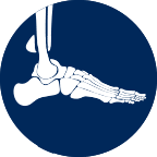 foot and ankle icon plantar fasciitis