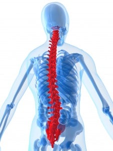 spine care at HROSM