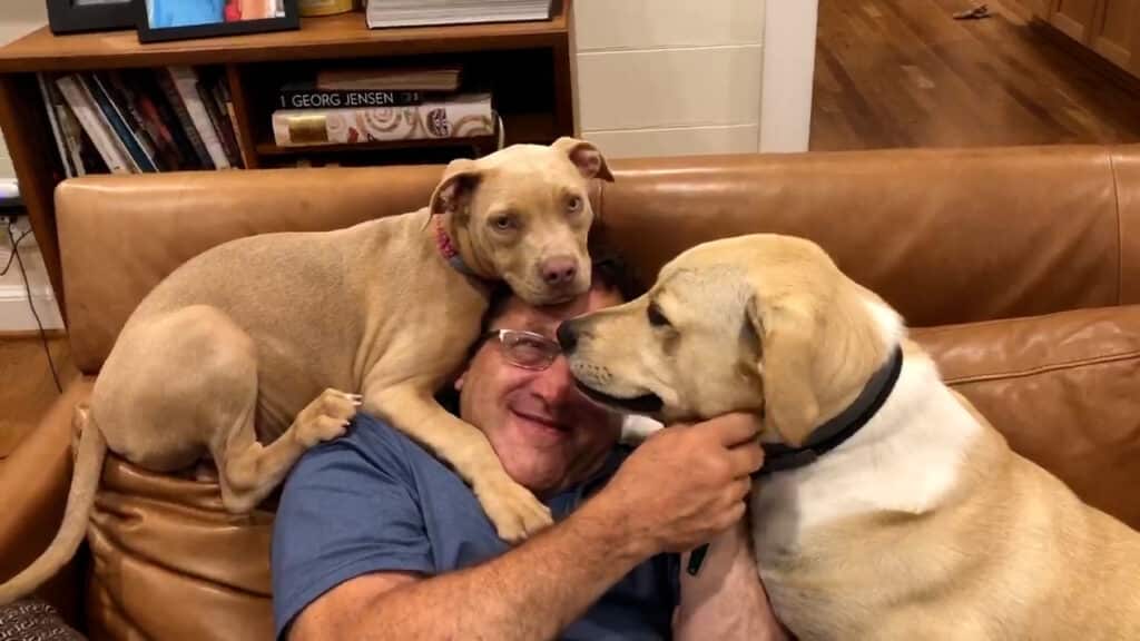 Kerner with dogs Kerner spca