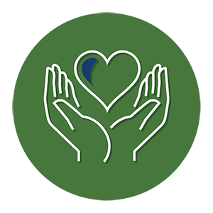 Illustarted icon for hands holding a heart