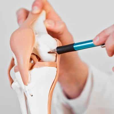 Cartilage injuries 2 Cartilage injuries