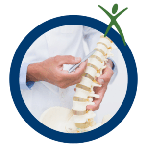 image of spine care doctor pointing to vertebrae
